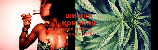 трава Аркадак