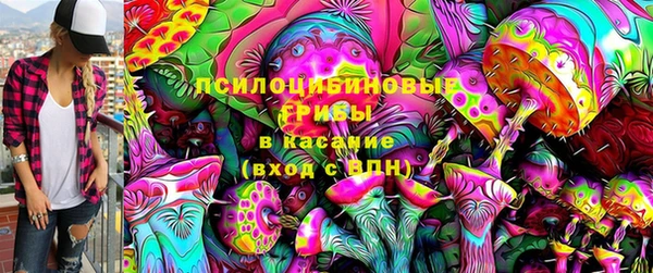 трава Аркадак