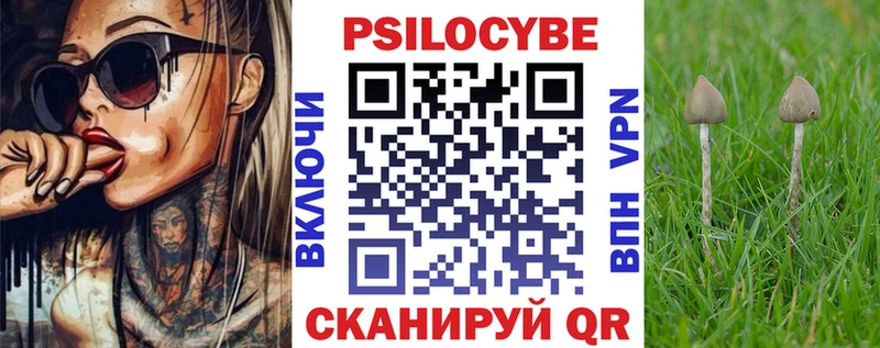 наркотики  Устюжна  Псилоцибиновые грибы Psilocybe 
