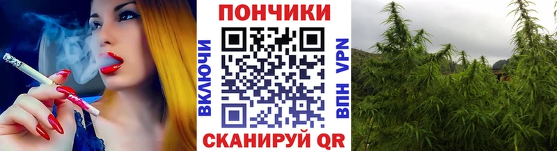 сколько стоит  kraken онион  Каннабис сатива  Устюжна 